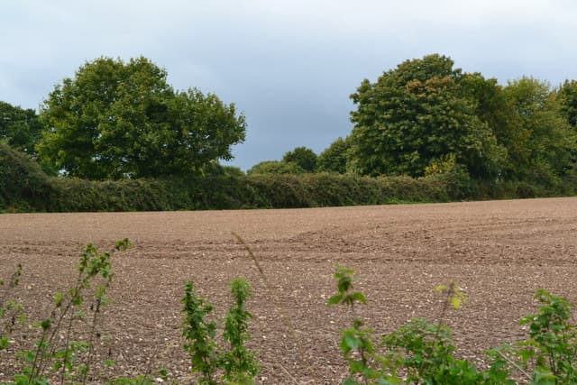 Farmland and open fields to the north of Clanfield