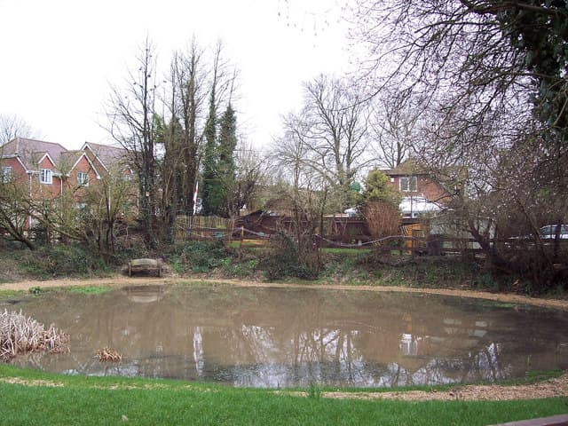 The restored village pond in old Clanfield